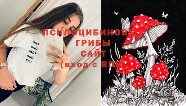 ГАЛЛЮЦИНОГЕННЫЕ ГРИБЫ Вязники