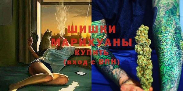 ГАЛЛЮЦИНОГЕННЫЕ ГРИБЫ Вязники