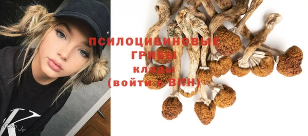 хмурый Вяземский
